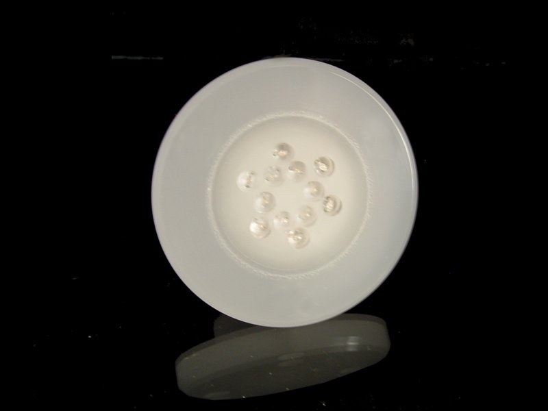 moona1.jpg