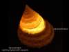ledmore13_small.jpg