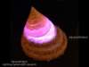 ledmore14_small.jpg