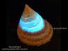 ledmore15_small.jpg