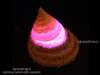 star367_small.jpg