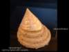 ledmore1_small.jpg