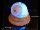 ledmore22_small.jpg