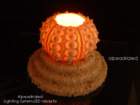 star367_small.jpg